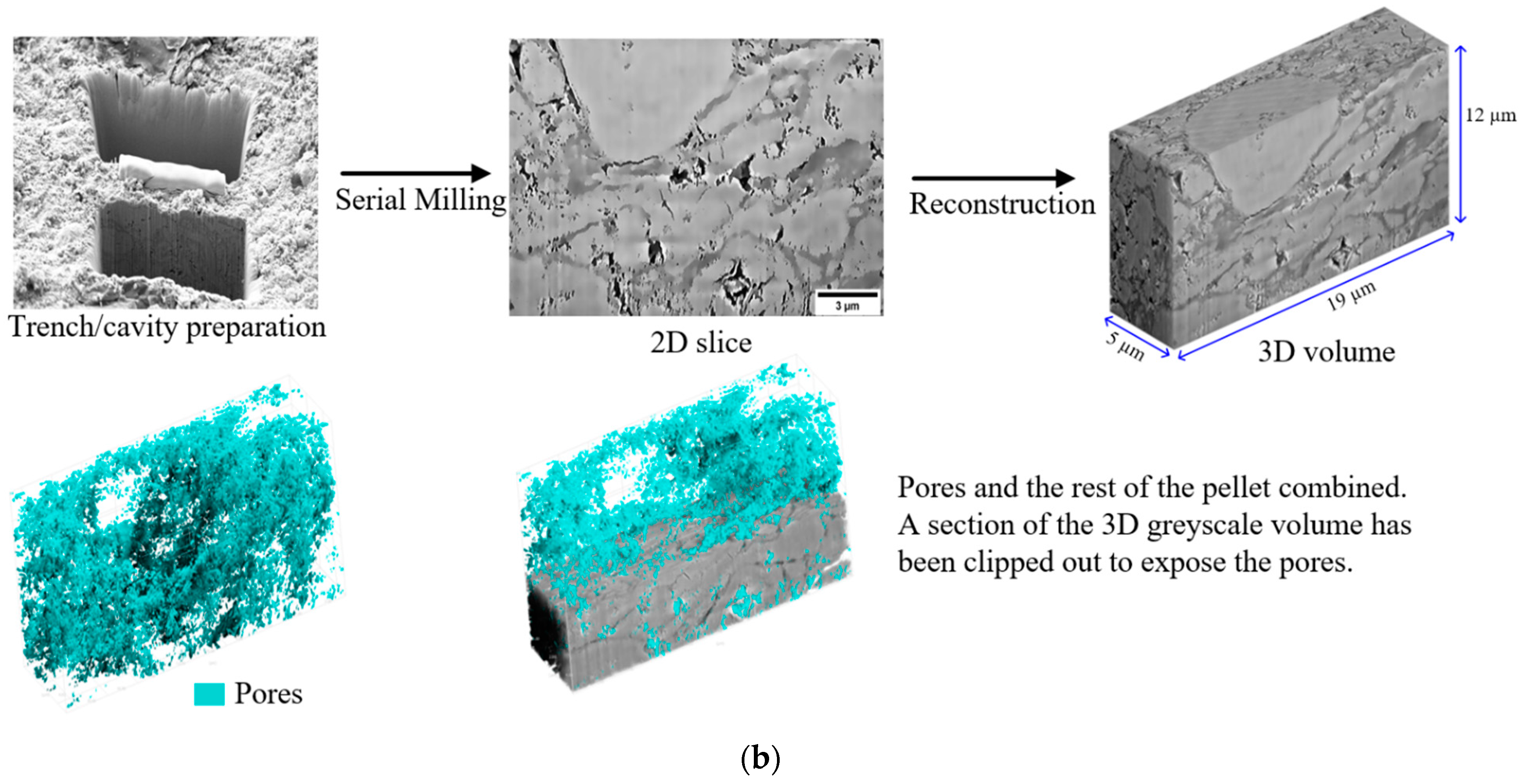 Foundations 04 00015 g007b