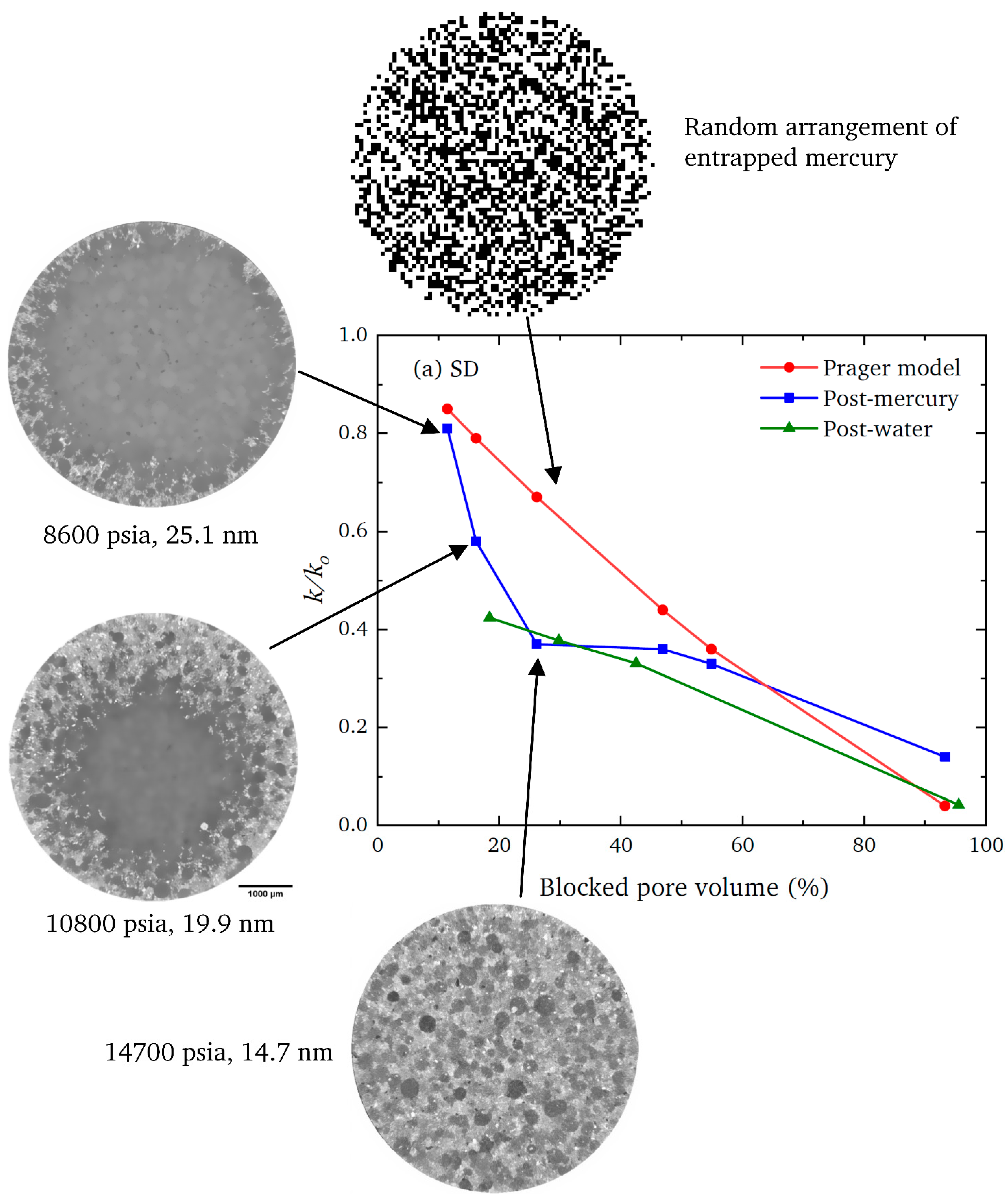 Foundations 04 00015 g008