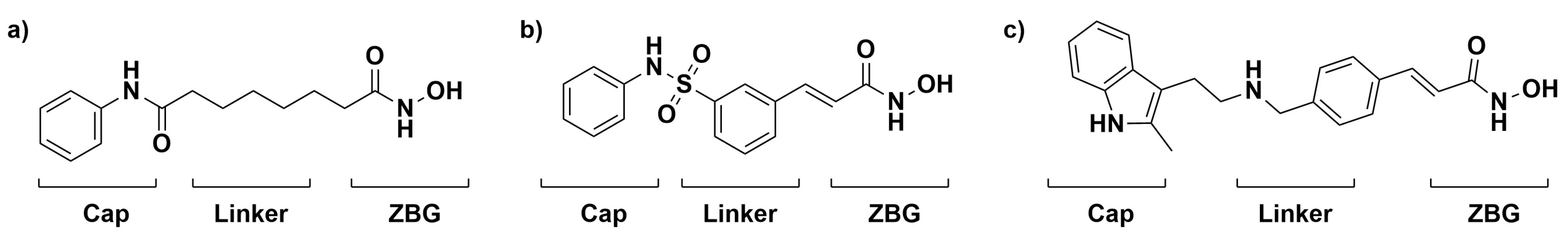 Foundations 04 00024 g001