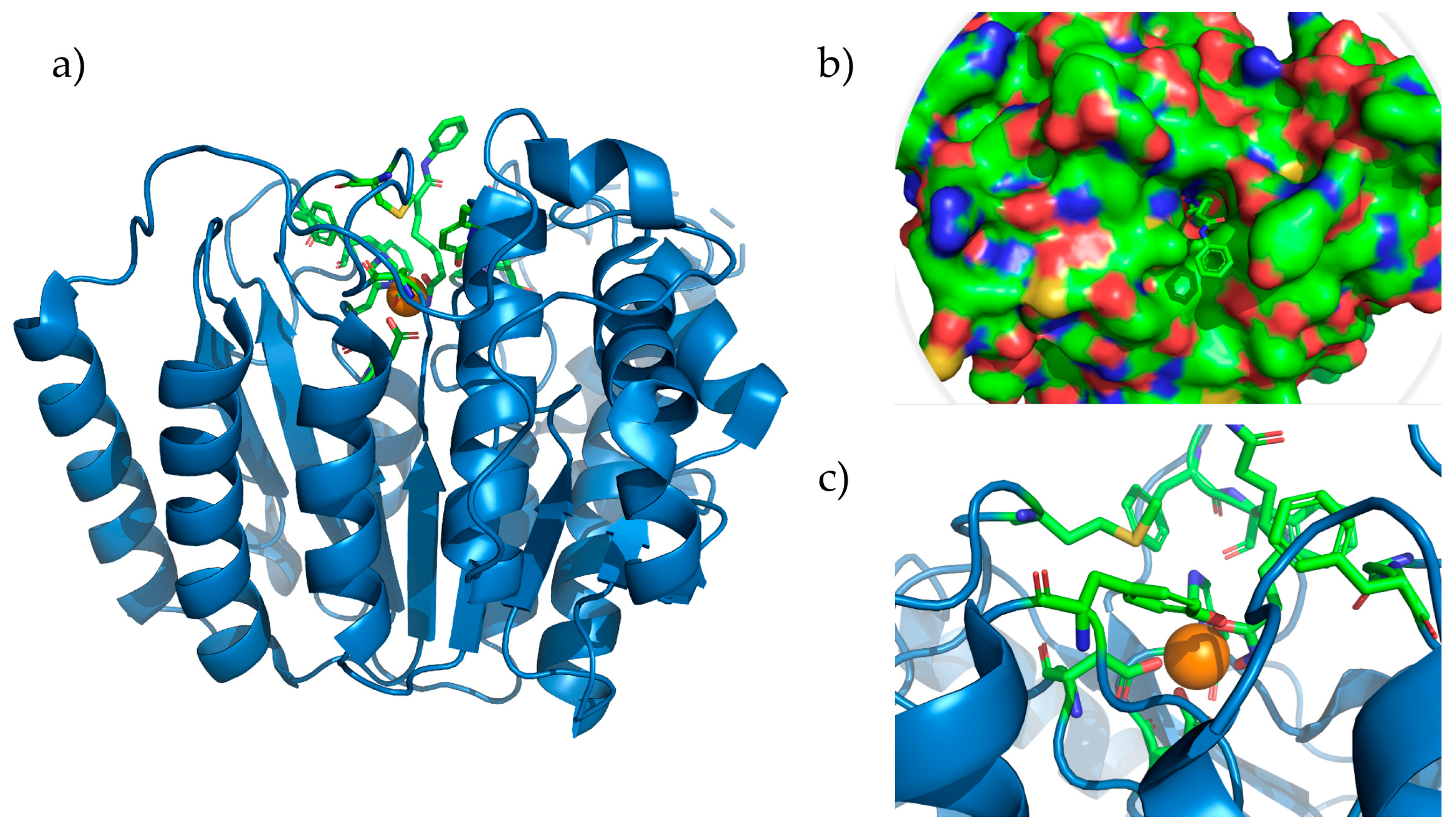 Foundations 04 00024 g002