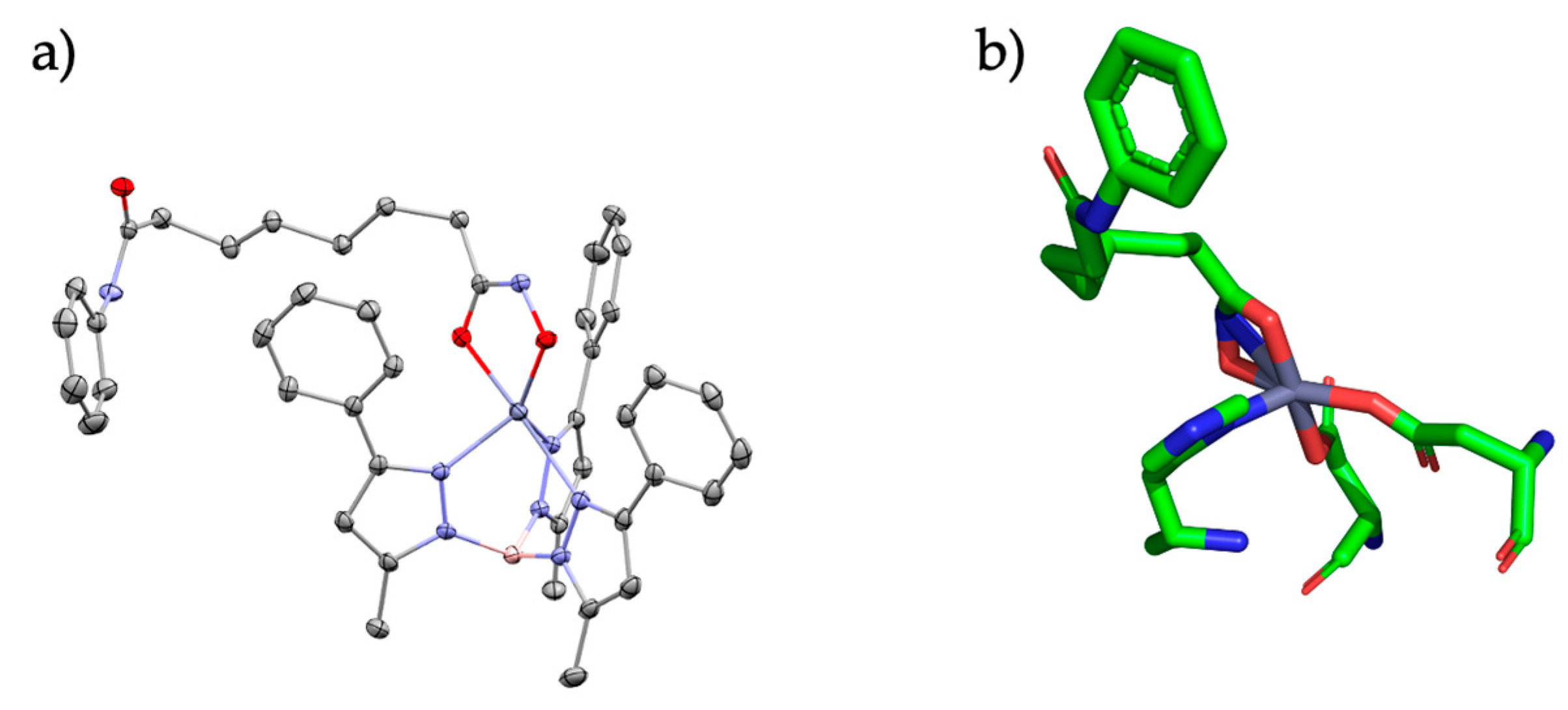 Foundations 04 00024 g003