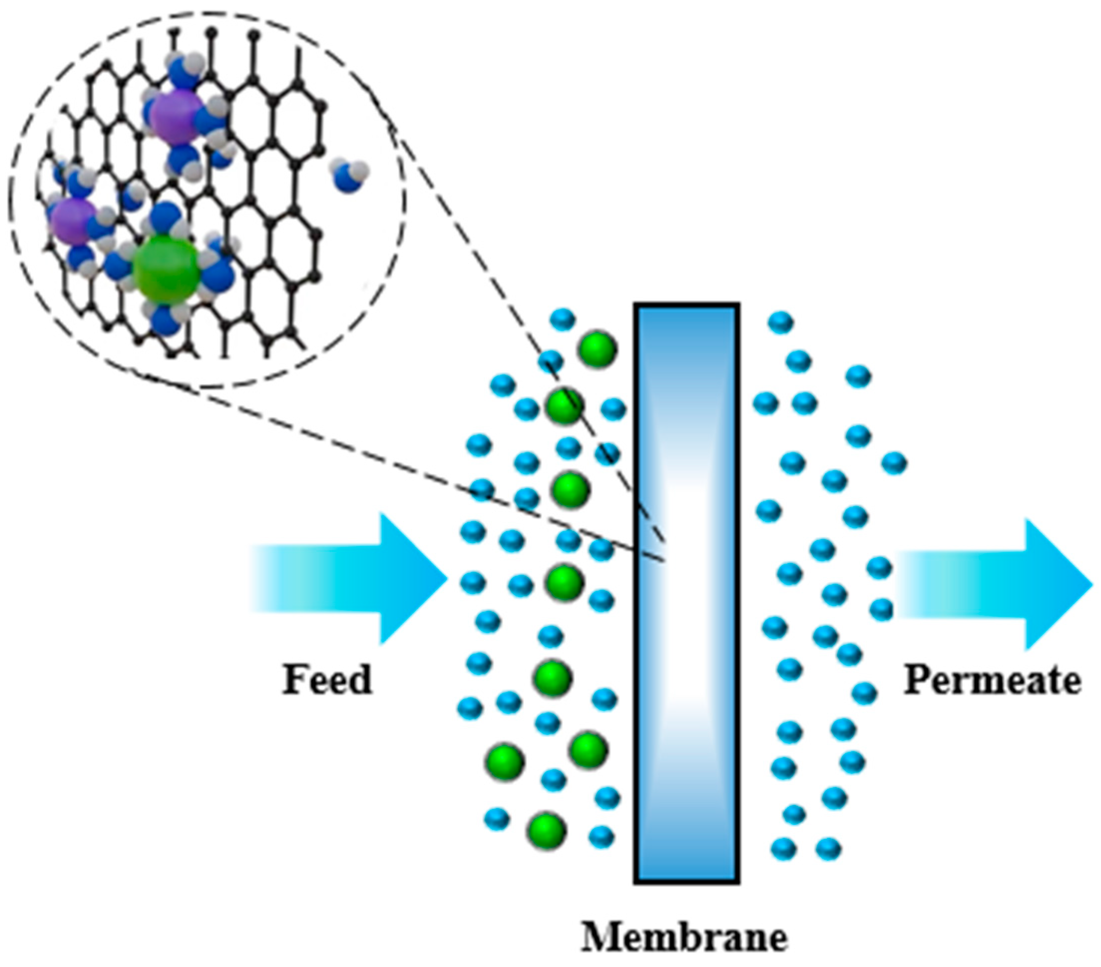 Foundations 04 00045 g005