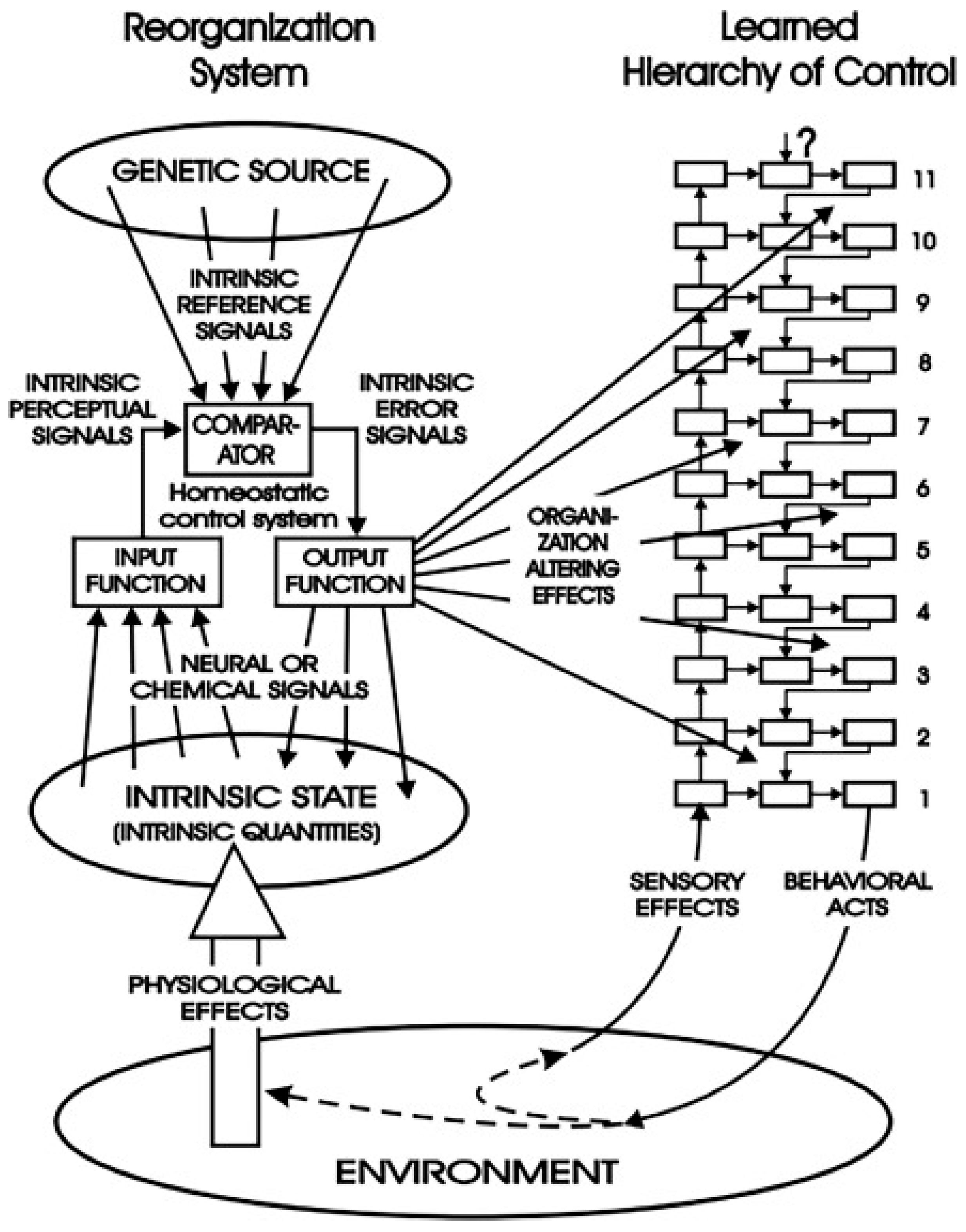 Foundations 05 00035 g003 Foundations 05 00035 g003