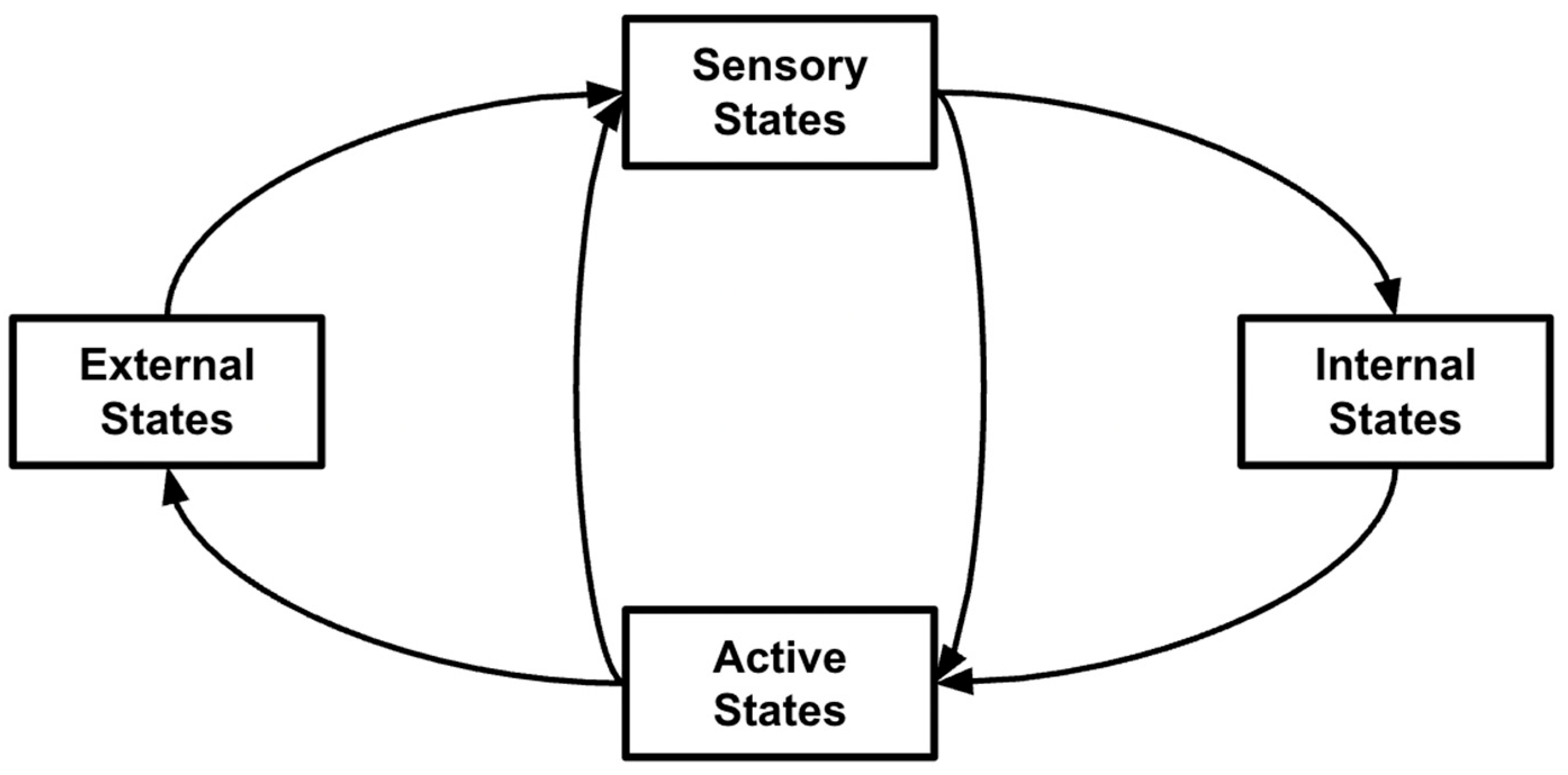 Foundations 05 00035 g005 Foundations 05 00035 g005