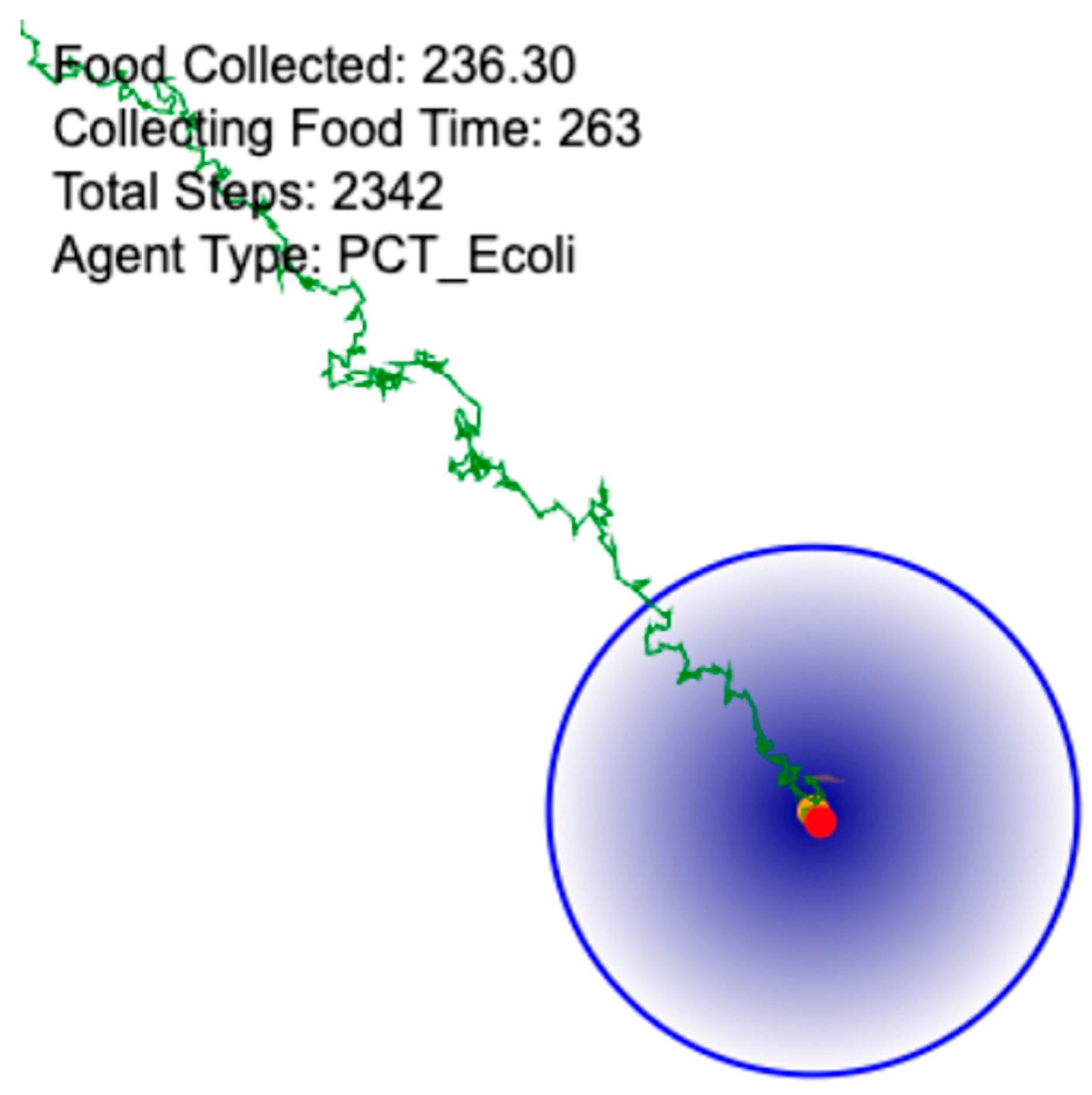 Foundations 05 00035 g007 Foundations 05 00035 g007