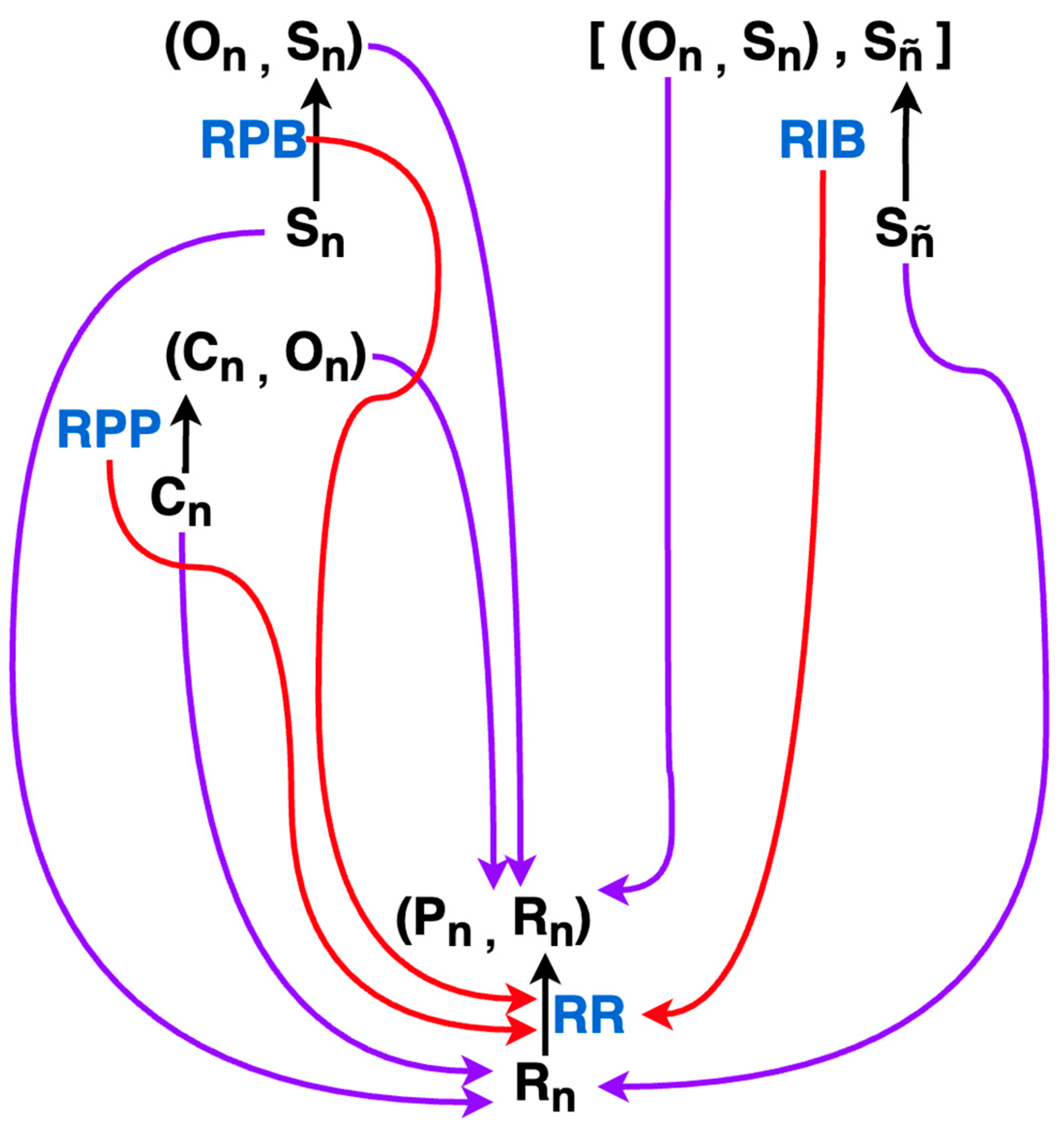 Foundations 05 00035 g017 Foundations 05 00035 g017