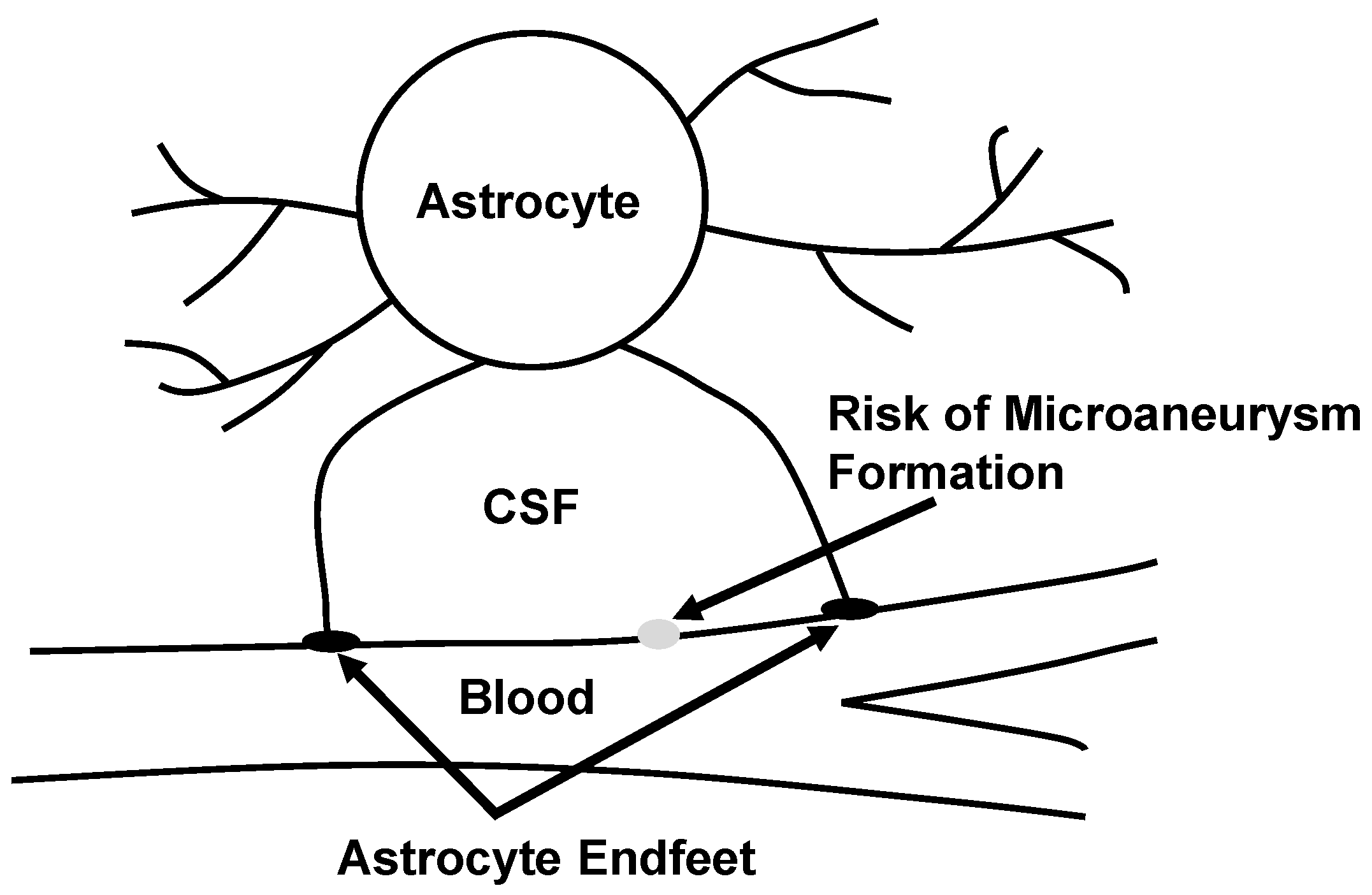 Fractalfract 02 00009 g001