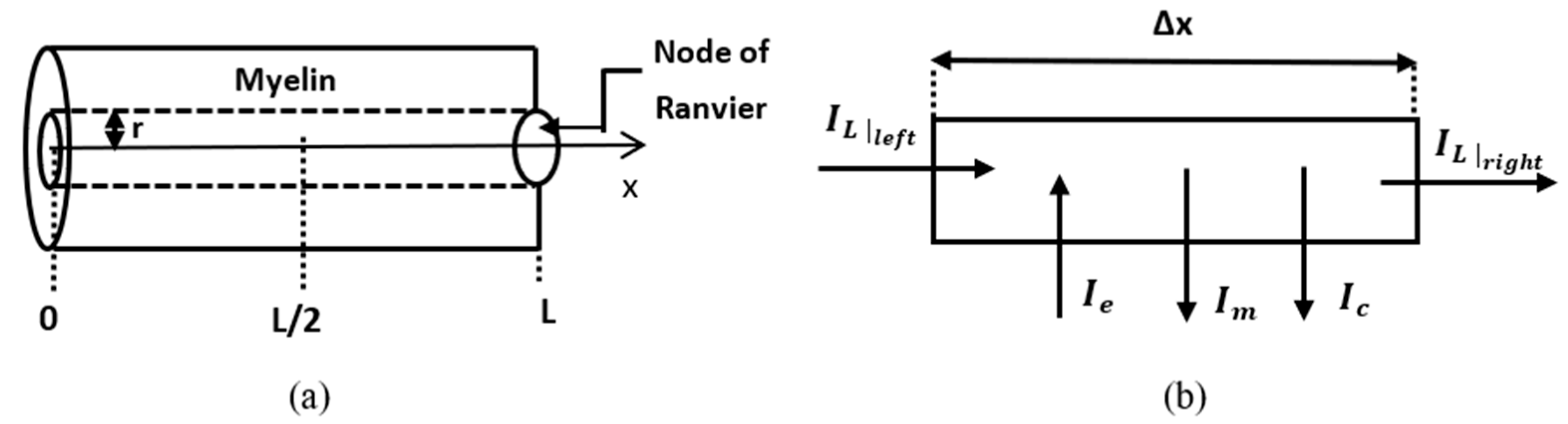 Fractalfract 05 00004 g002 Fractalfract 05 00004 g002