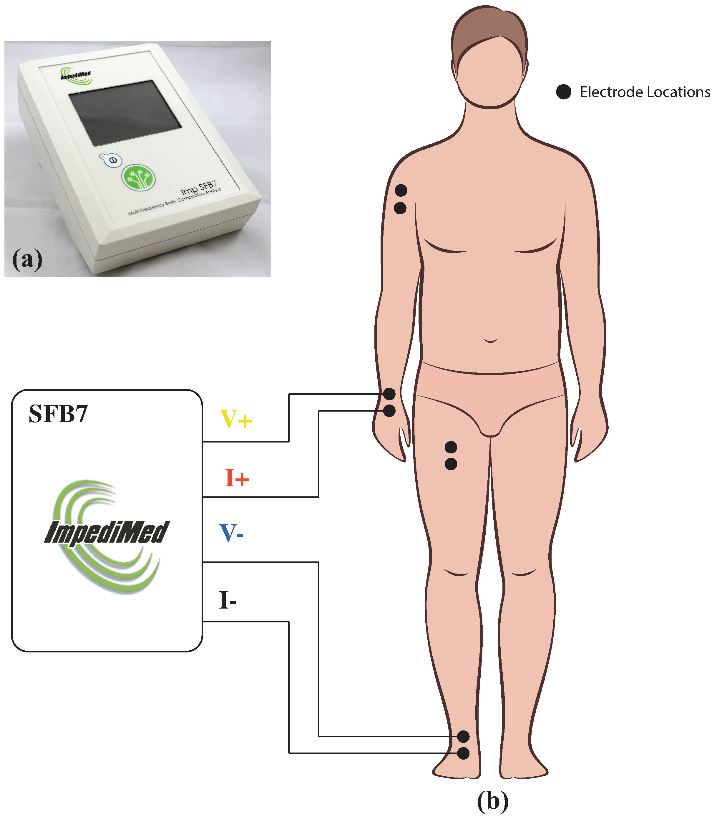 Fractalfract 05 00013 g002 Fractalfract 05 00013 g002