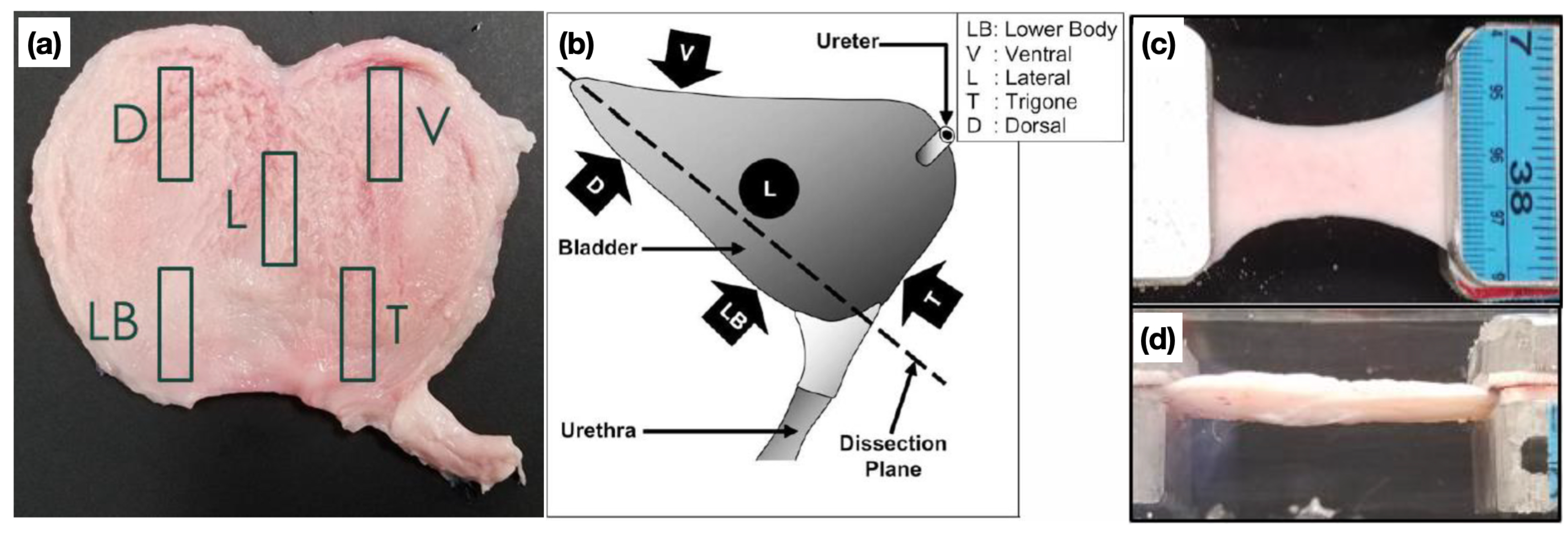 Fractalfract 05 00223 g001