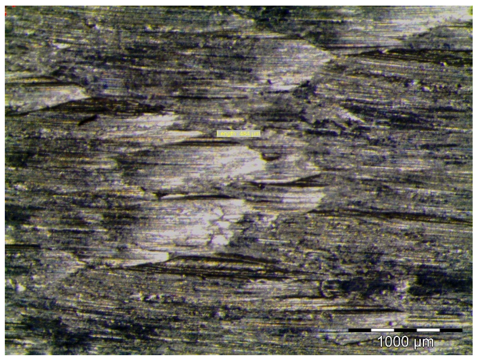 Fractalfract 05 00241 g001