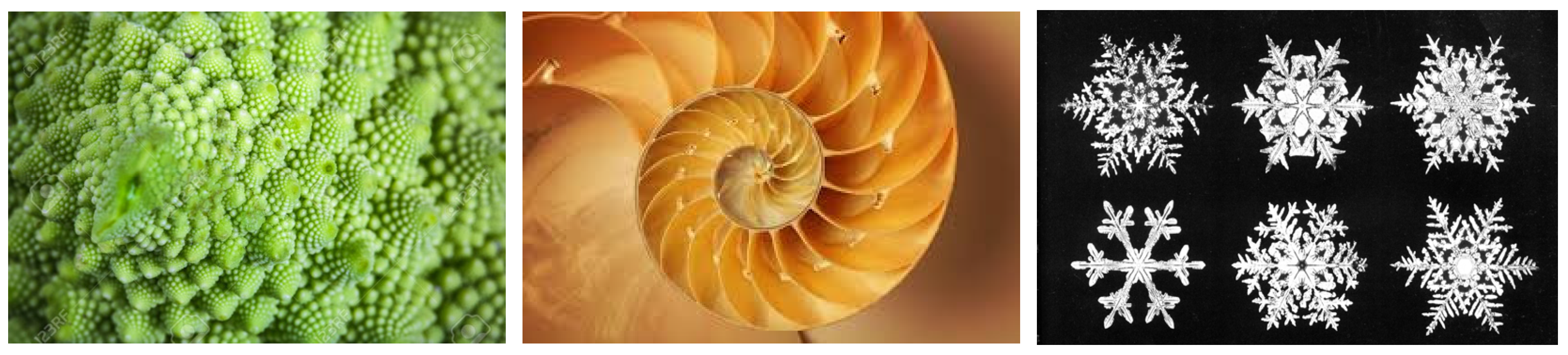 Fractalfract 06 00134 g001