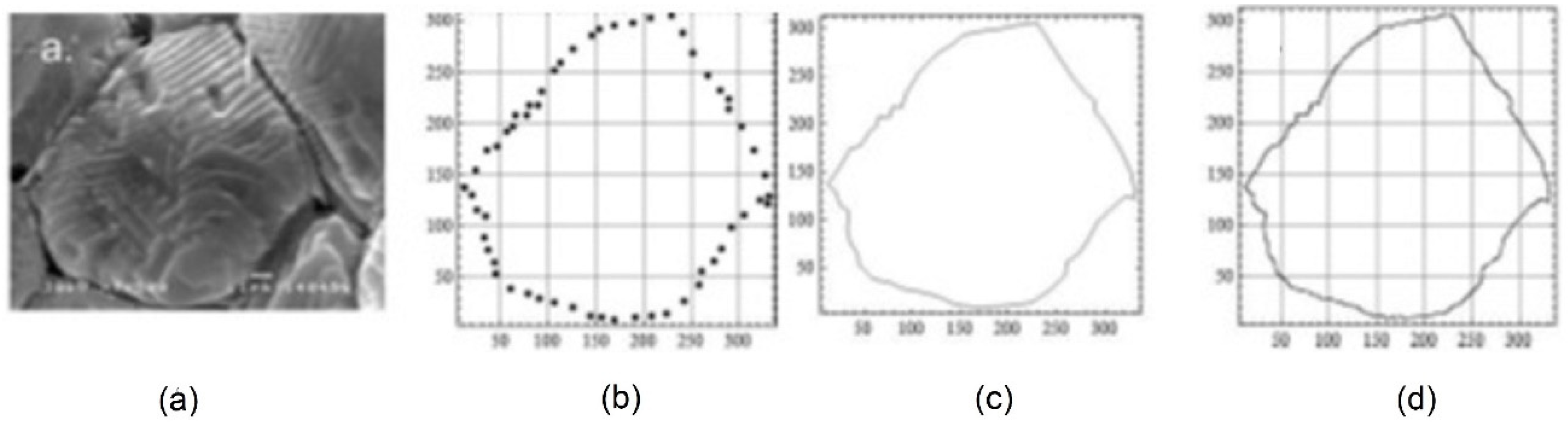 Fractalfract 06 00134 g004