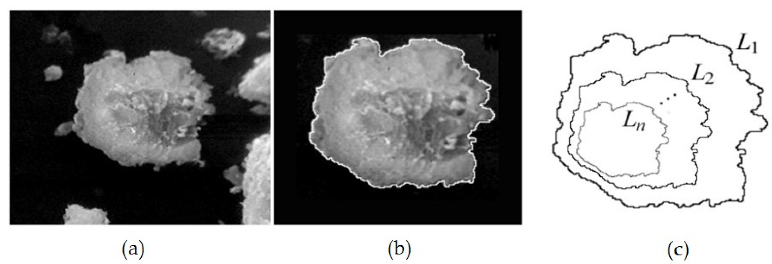 Fractalfract 06 00134 g009