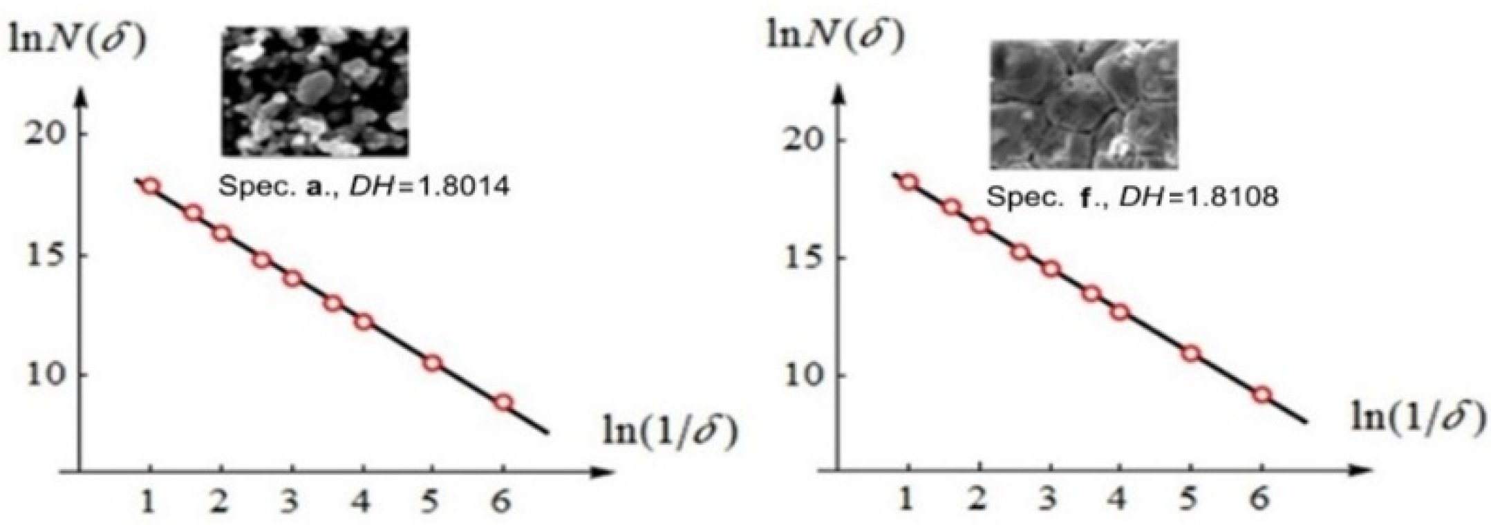Fractalfract 06 00134 g010