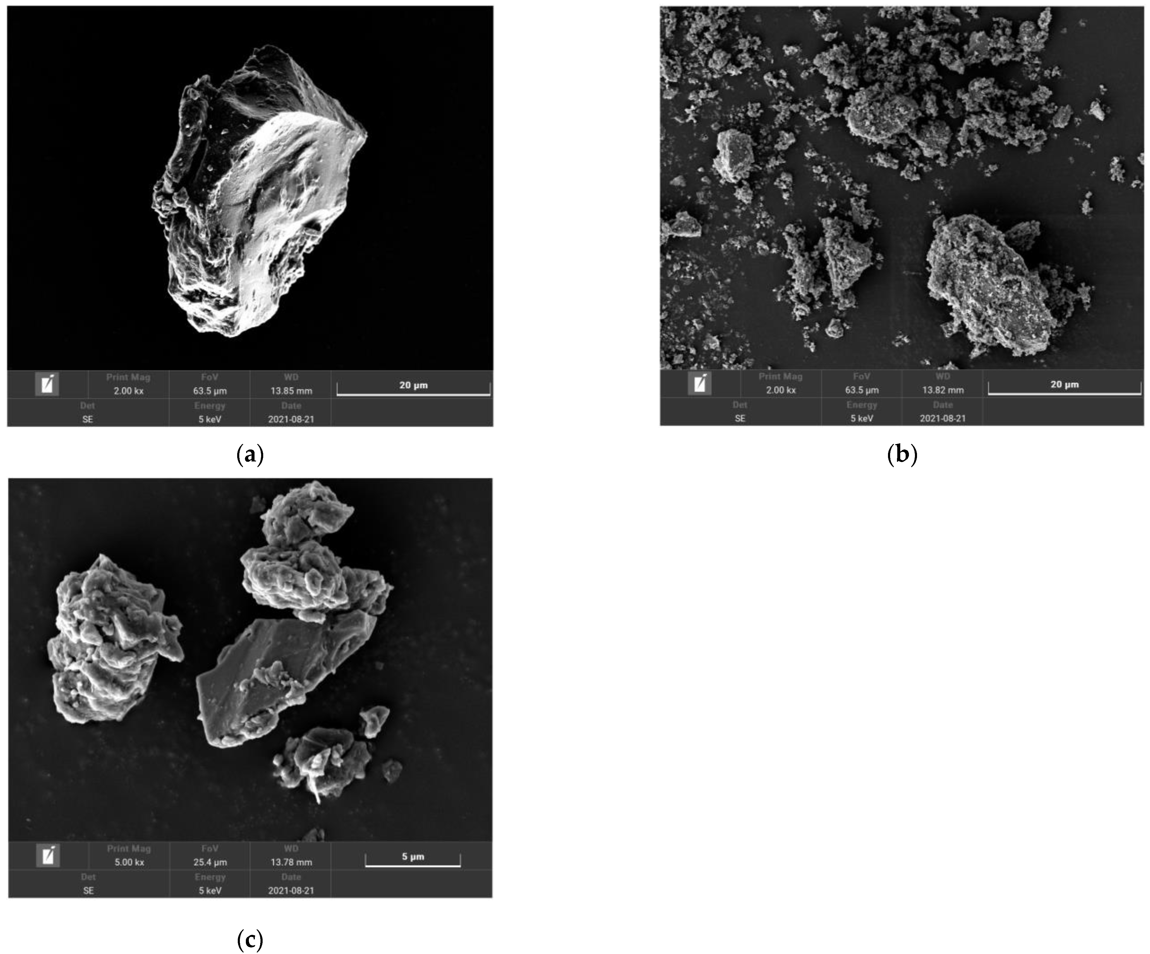 Fractalfract 06 00145 g002
