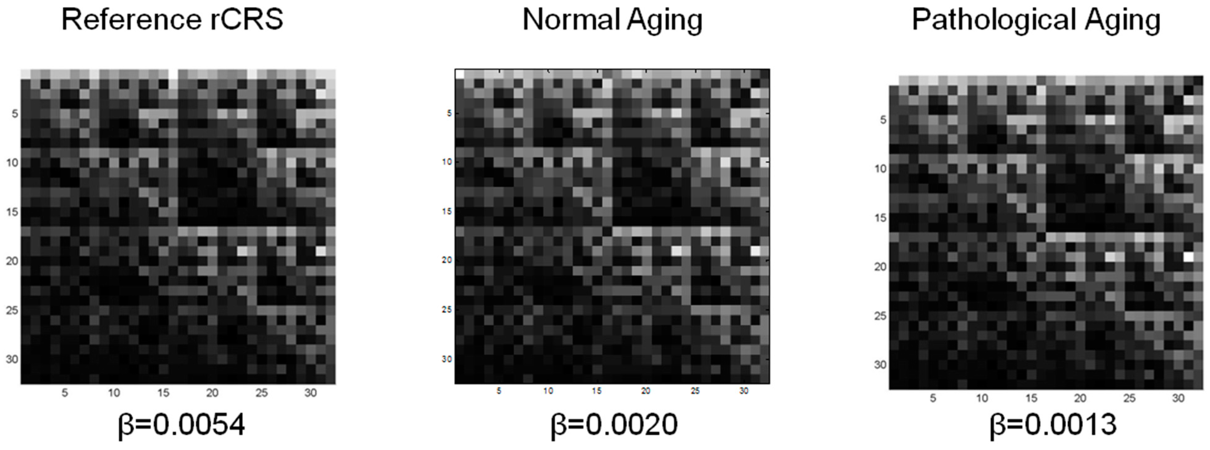 Fractalfract 06 00219 g004