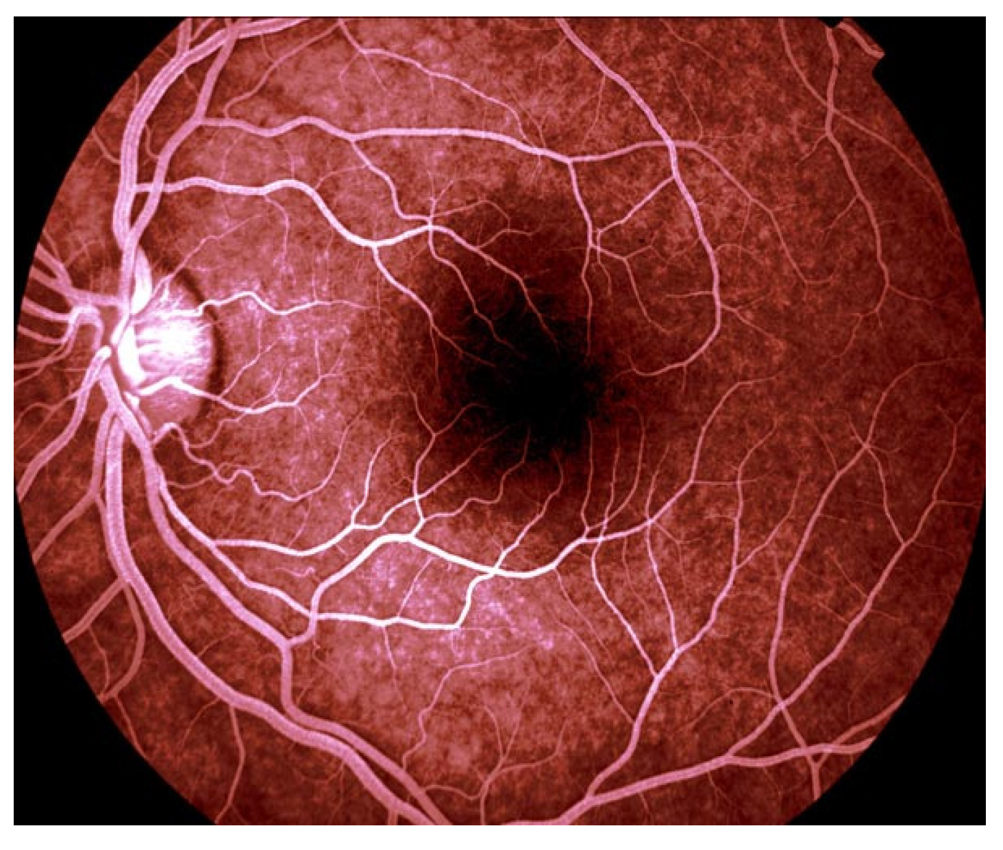 Fractalfract 06 00379 g038