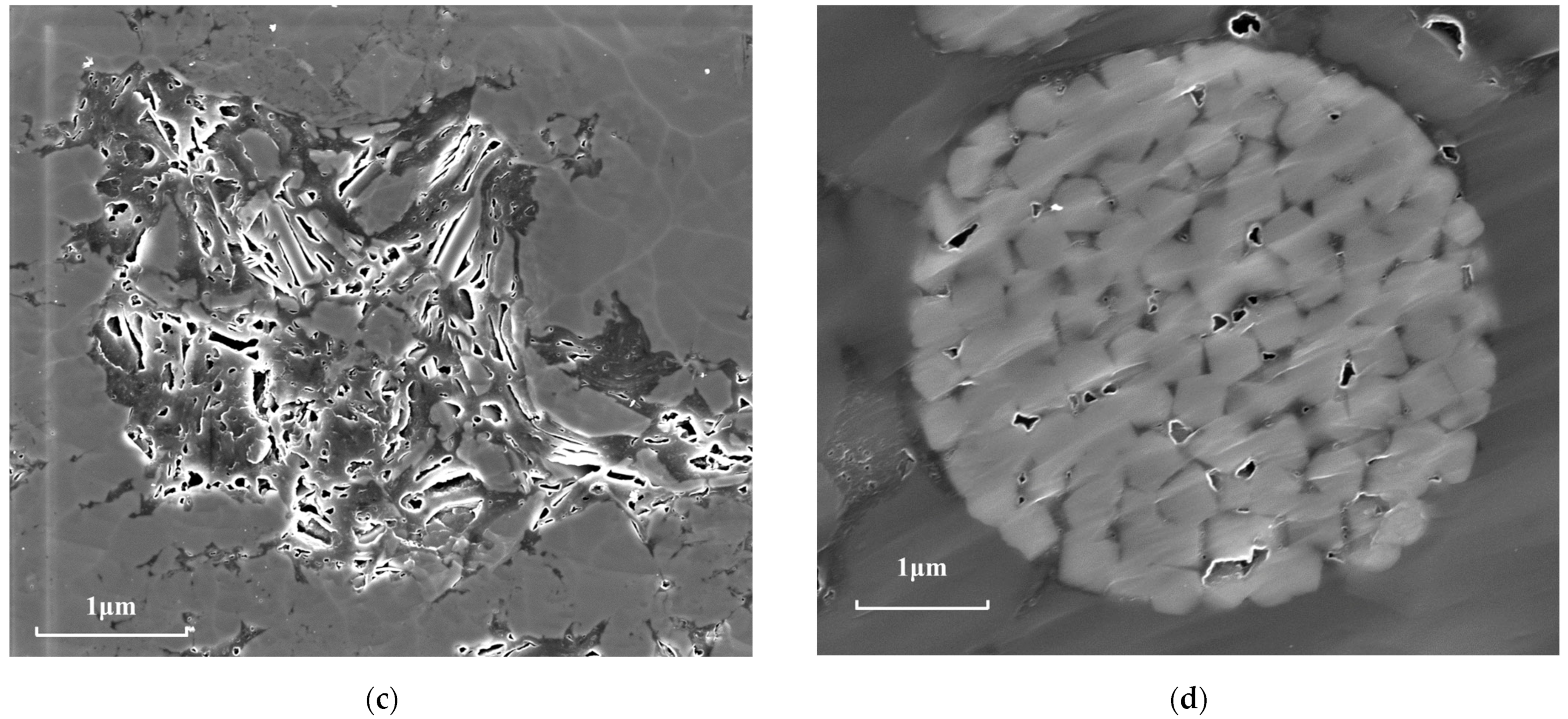 Fractalfract 06 00484 g006b
