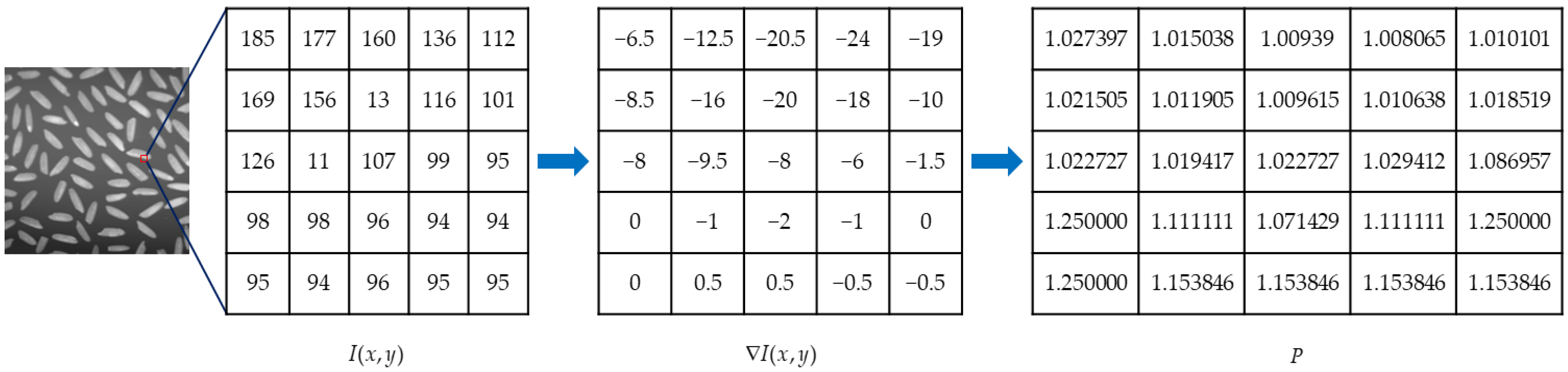 Fractalfract 06 00579 g001