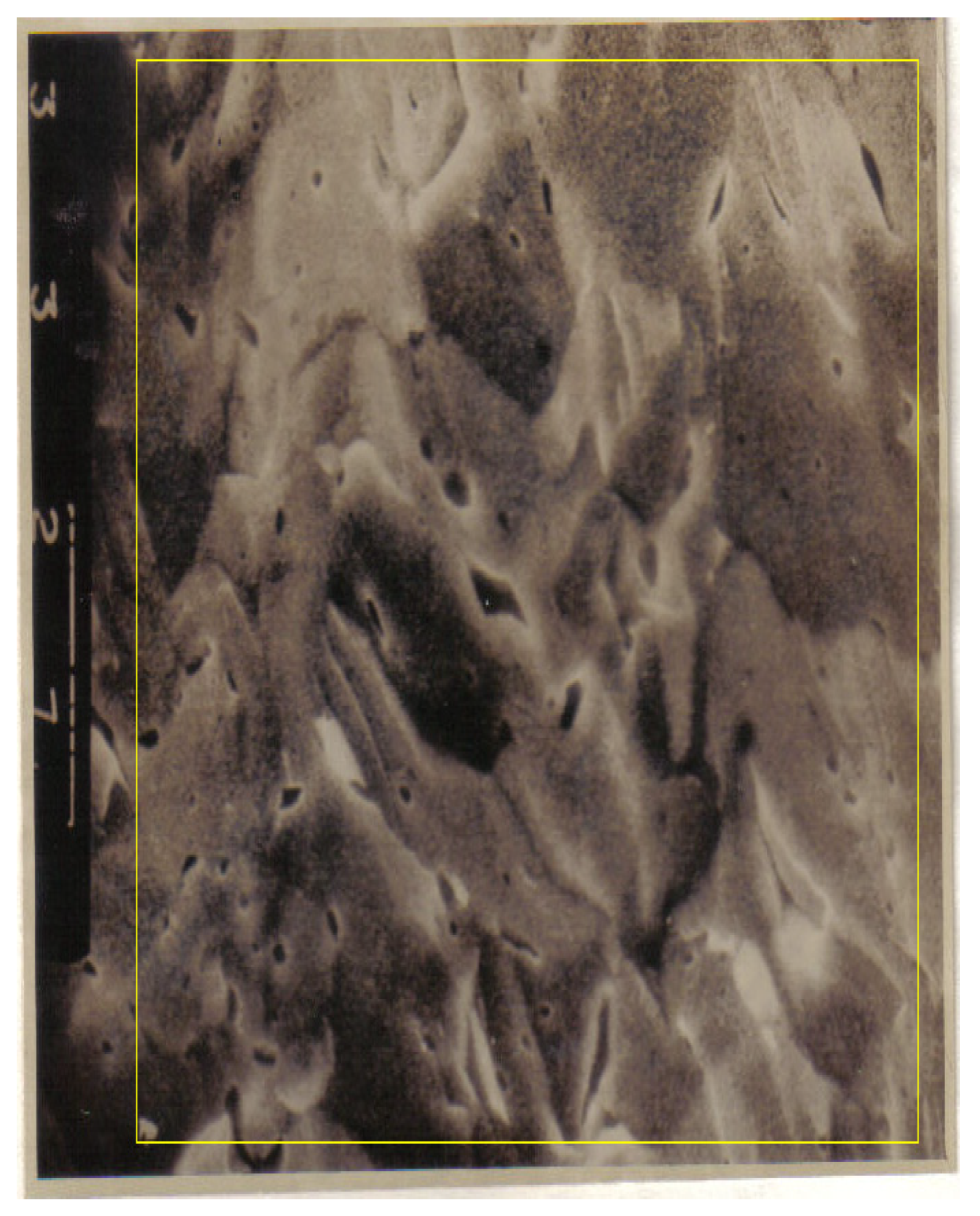 Fractalfract 06 00595 g001 Fractalfract 06 00595 g001