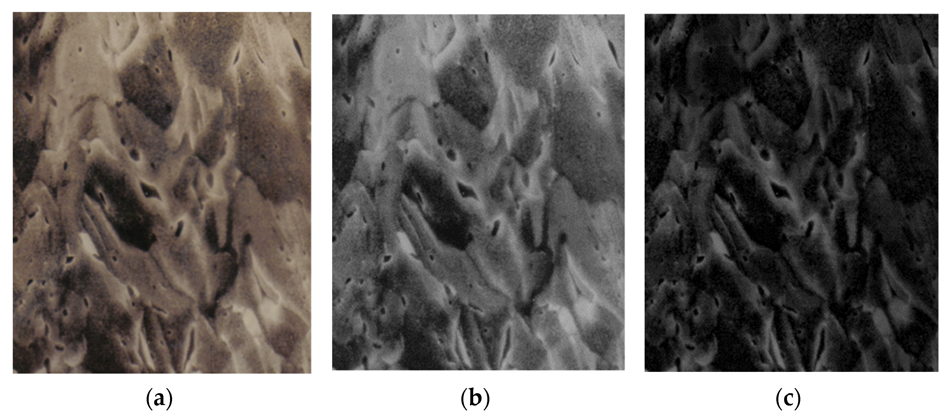 Fractalfract 06 00595 g007 Fractalfract 06 00595 g007