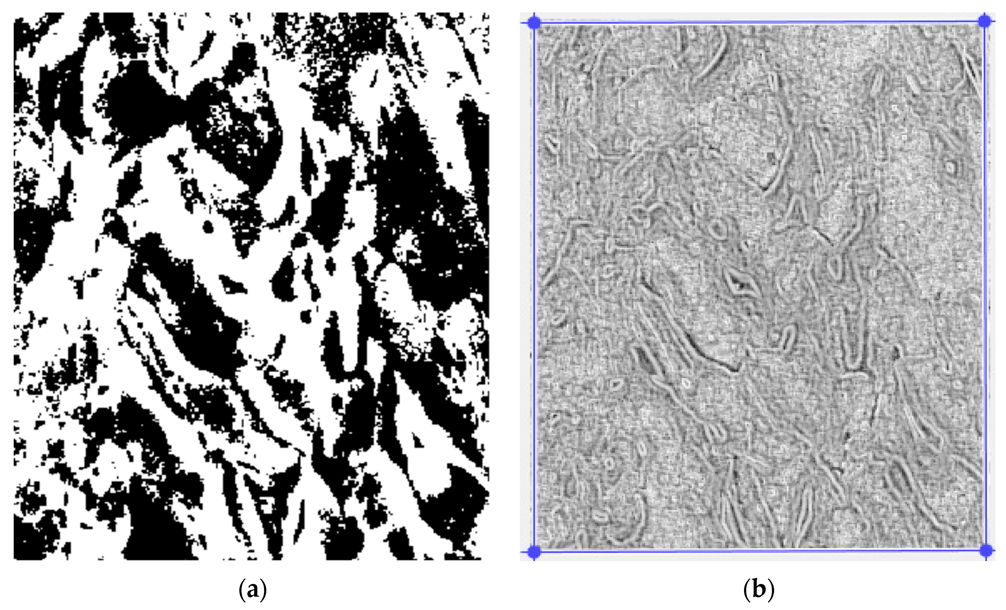 Fractalfract 06 00595 g008 Fractalfract 06 00595 g008