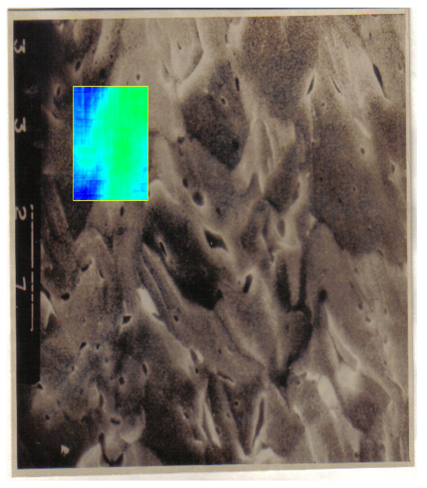 Fractalfract 06 00595 g012 Fractalfract 06 00595 g012