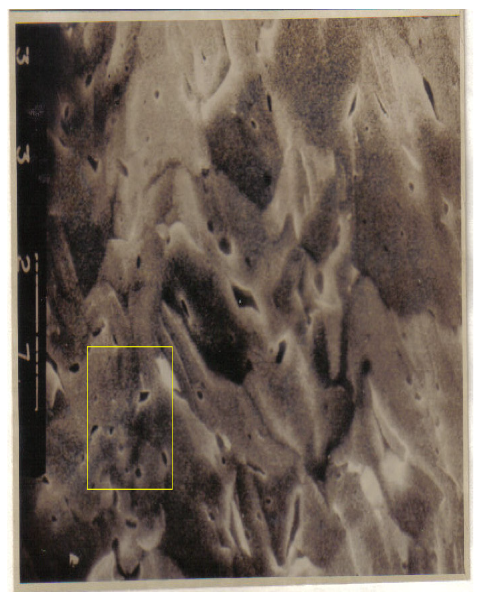 Fractalfract 06 00595 g019 Fractalfract 06 00595 g019