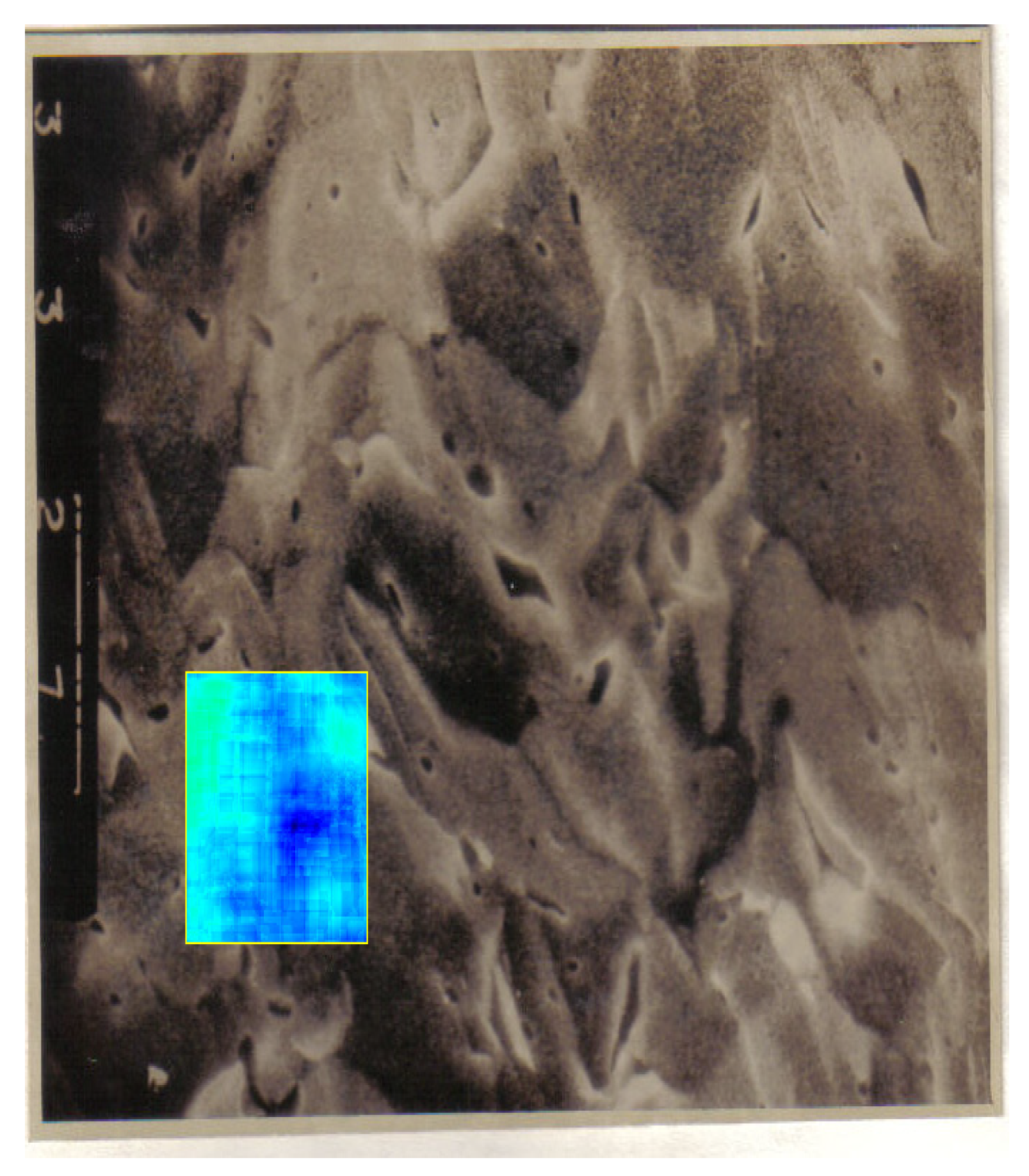 Fractalfract 06 00595 g021 Fractalfract 06 00595 g021