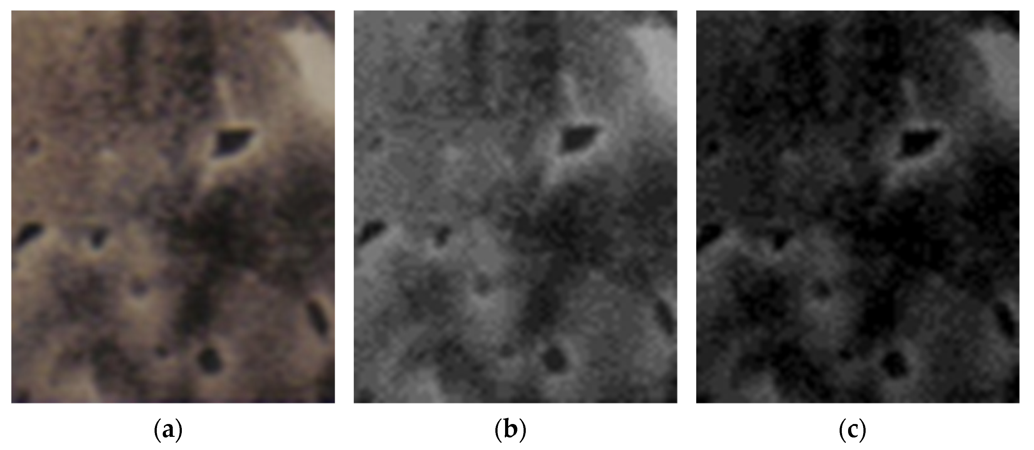 Fractalfract 06 00595 g025 Fractalfract 06 00595 g025