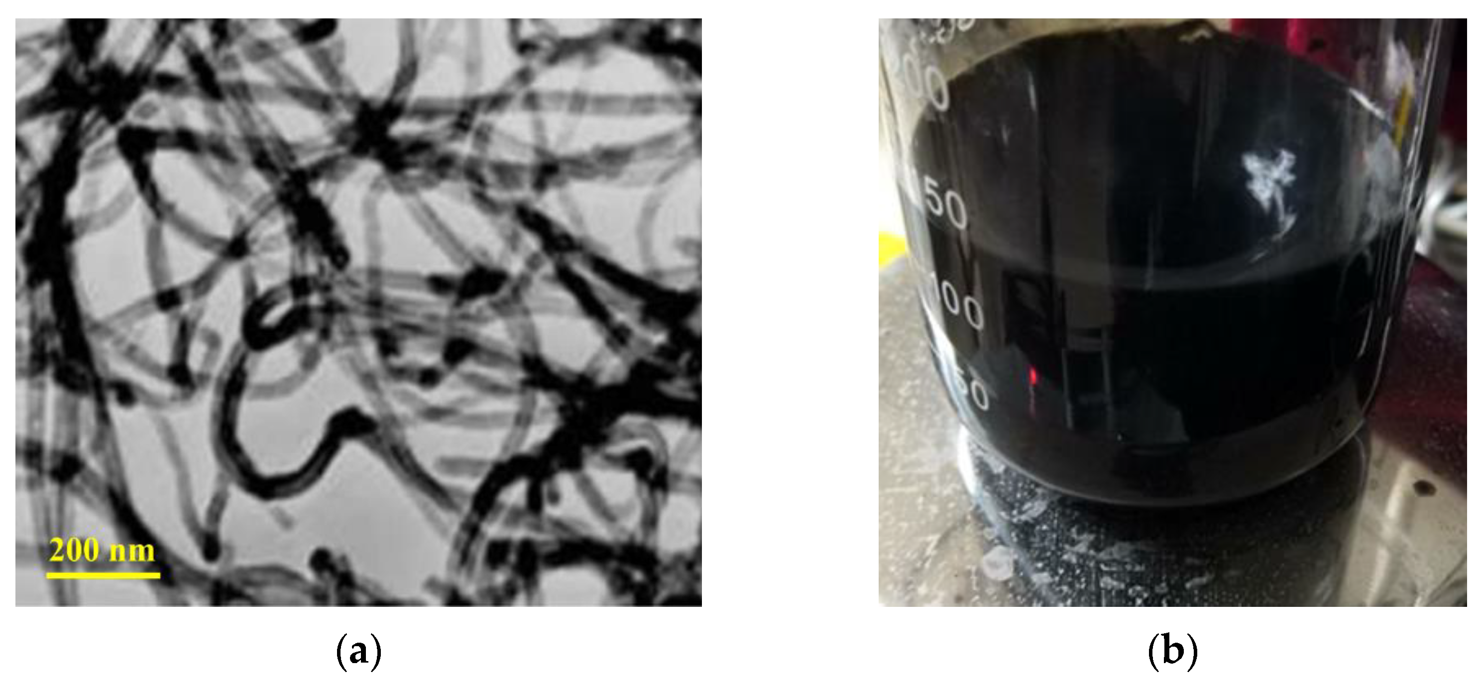 Fractalfract 06 00609 g001