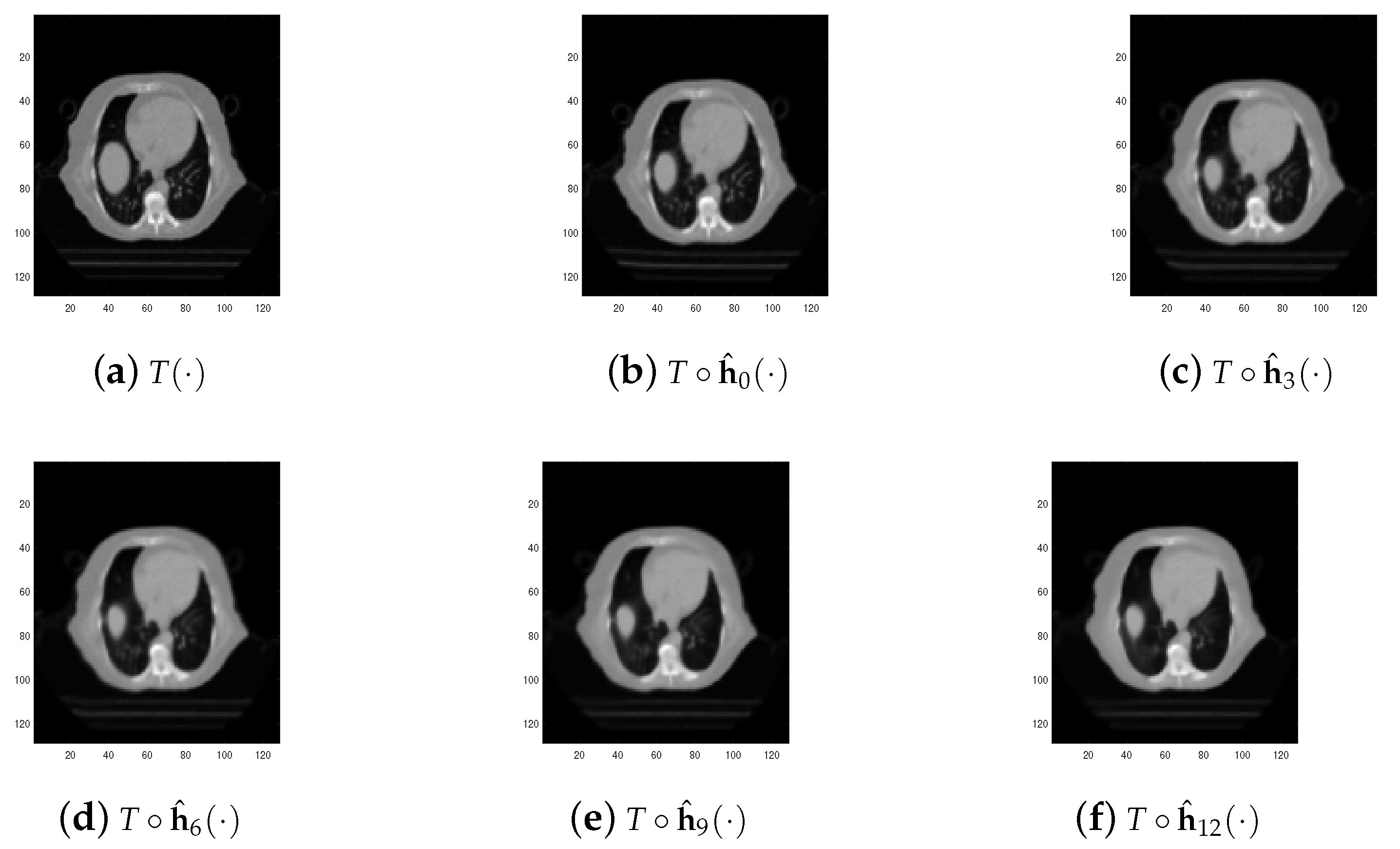 Fractalfract 06 00681 g006
