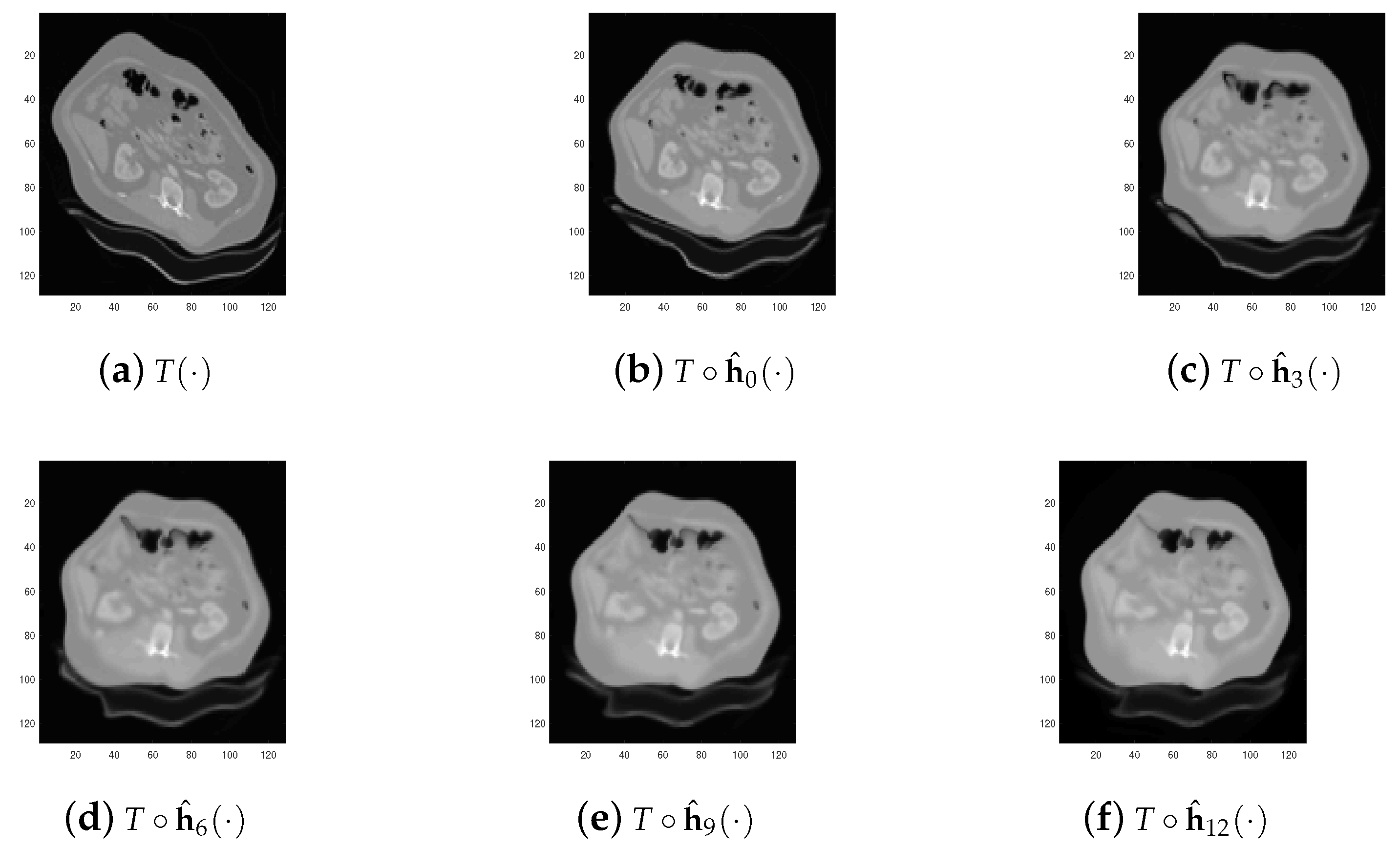 Fractalfract 06 00681 g010