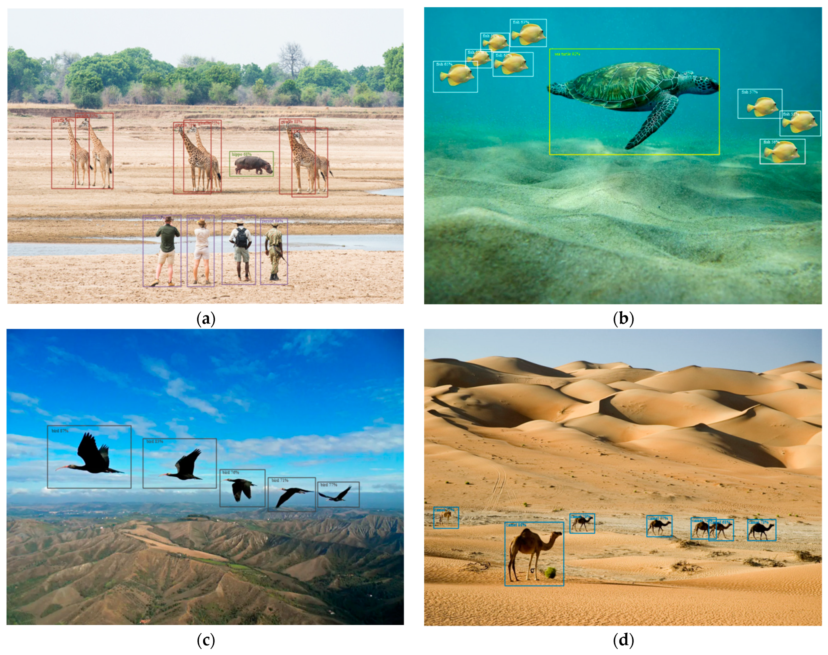 Fractalfract 06 00706 g006