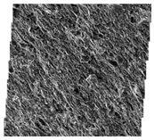 Fractalfract 06 00734 i001