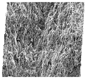 Fractalfract 06 00734 i007