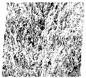 Fractalfract 06 00734 i008