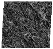 Fractalfract 06 00734 i013