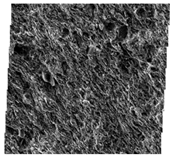 Fractalfract 06 00734 i016