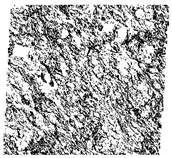 Fractalfract 06 00734 i017