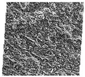 Fractalfract 06 00734 i022