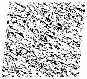 Fractalfract 06 00734 i023