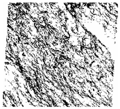 Fractalfract 06 00734 i026