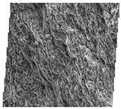 Fractalfract 06 00734 i028