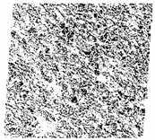 Fractalfract 06 00734 i029