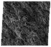 Fractalfract 06 00734 i031