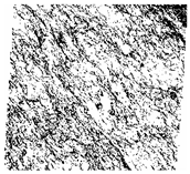 Fractalfract 06 00734 i041