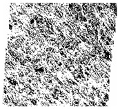 Fractalfract 06 00734 i047