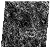 Fractalfract 06 00734 i049